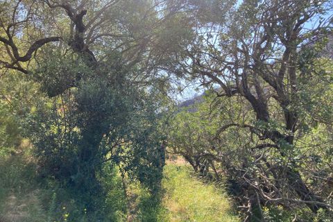 Landejendom i El Perello, Tarragona, El Perello - € 36.000 | Ref: Finca Montanas - foto 41